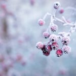 Prevent a Broken Heater