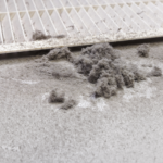 Should you get your air ducts cleaned