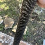 Importance of Changing your Air Filters 