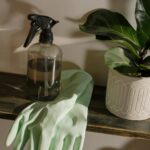 spray bottle and gloves next to a plant. Do you need to add hvac cleaning to your to-do list?