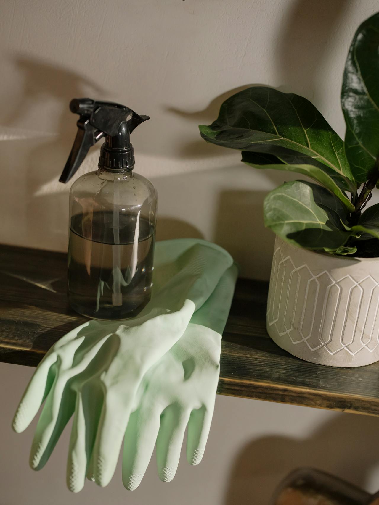 spray bottle and gloves next to a plant. Do you need to add hvac cleaning to your to-do list?